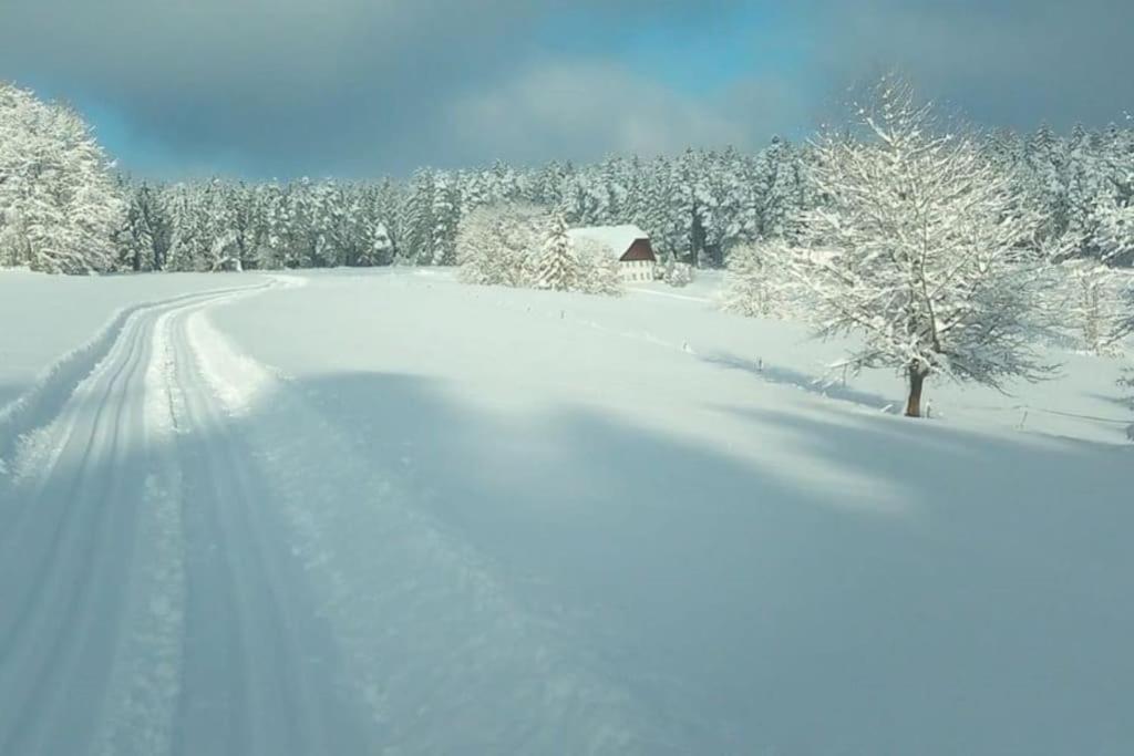 Ferienwohnung Im Schwarzwald Unterkirnach المظهر الخارجي الصورة